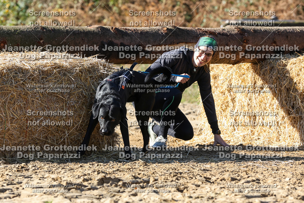 Dog Paparazzi - Strongdog 10-25-2805 | Dog Paparazzi Jeanette Grottendiek Fotografie & Videografie - Realisiert mit Pictrs.com