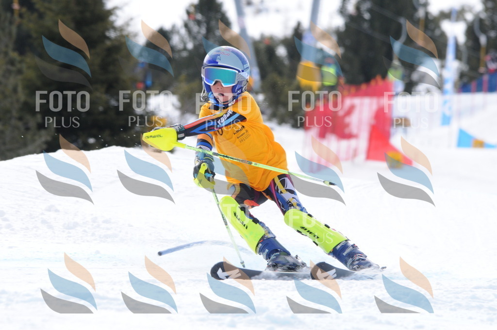 C7611 | holidayphoto