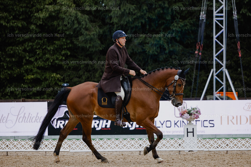 Gernot25_FHC2025-25642 | working equitationturnier fotograf videograf stoibphotography marixx film working equitation deutschland reitsport turnierfotografie eventfotografie equestrian events