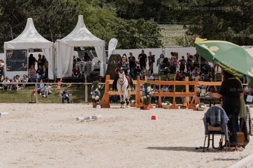 WE_ST_Stoib_321_PI2025_1147 | Pferd International München 2025