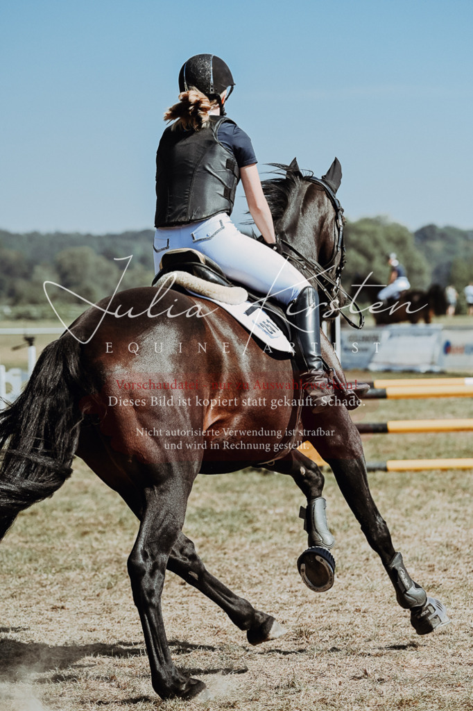 DSC_9713 | Pferde- und Turnierfotografie in Westsachsen. Pferdeportraits, Auftragszeichnungen und intuitive Kunst.