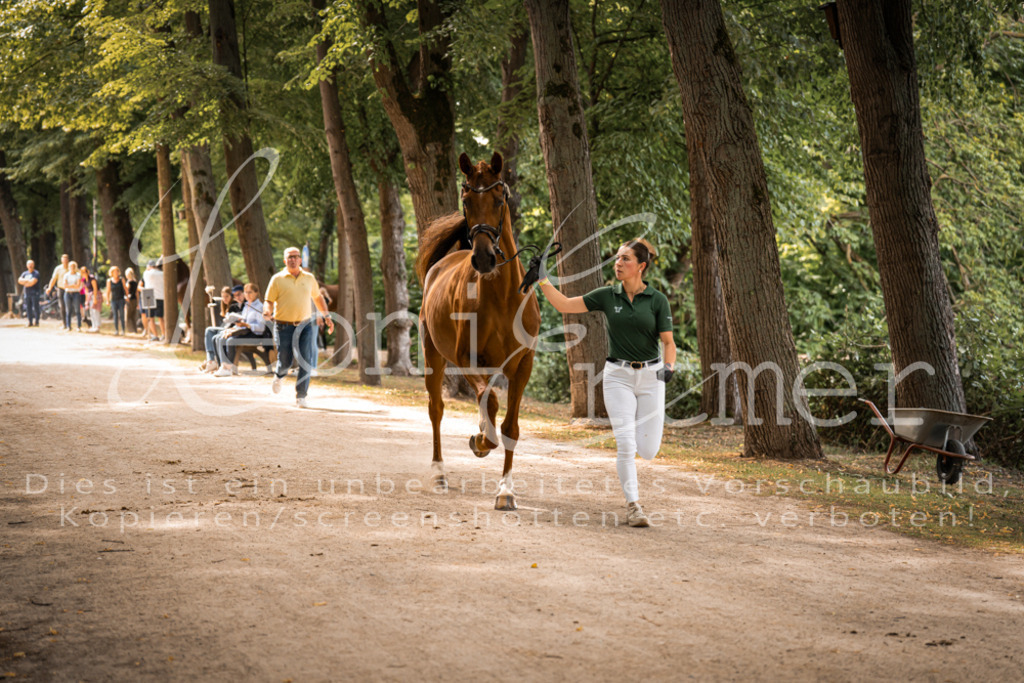 FrPfM00105 | Leoni Ertmer Photography - Realisiert mit Pictrs.com