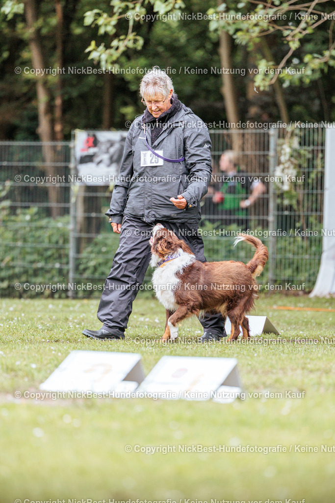 RO-Blumenthal-2026-Nickbest-Hundefotografie-2346 | Dein Hund! Dein Moment! Deine Erinnerungen! Hundefotografie in Bremen Blumenthal. Ich fange die besonderen Momente deines Vierbeiners ein – ob Indoor mit Blitzanlage oder in der freien Natur. Sicher dir dein Moment und dein Termin für eure Erinnerungen.
