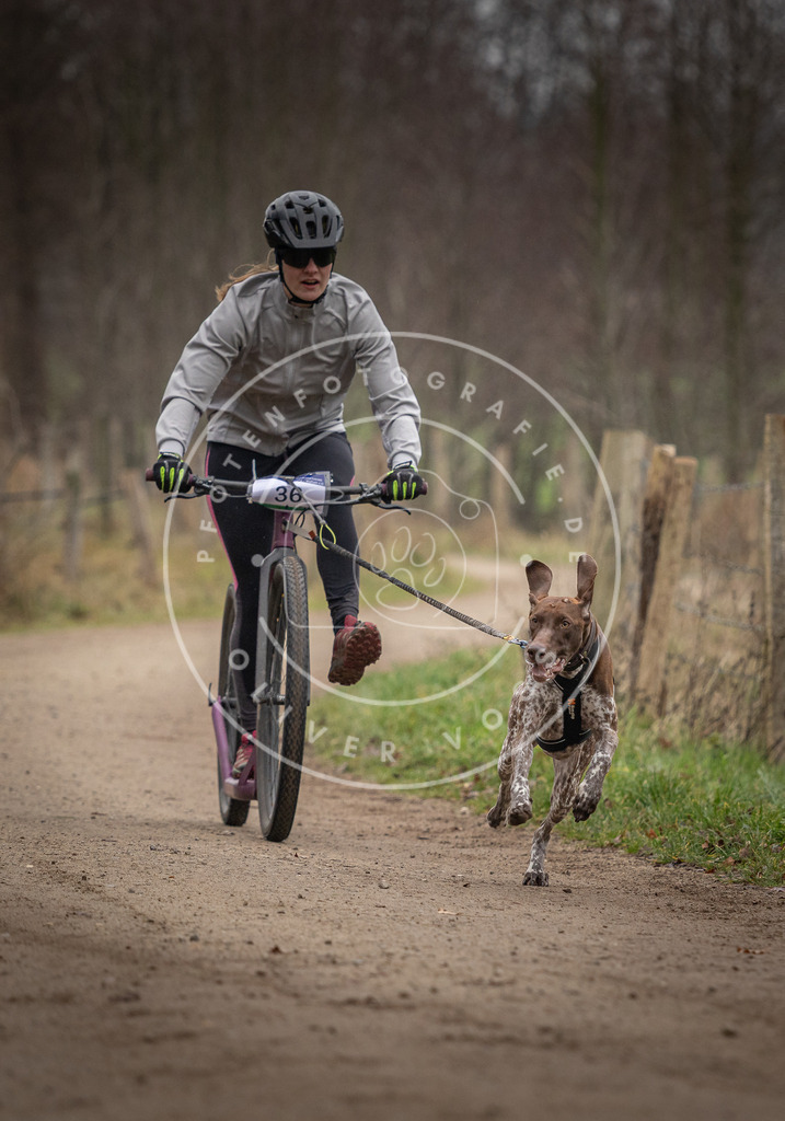 Pfotenfotografie_DV3A2420 | Hundefotografie, Tierfotograf, Pfotenfotografie, Fotoshooting Hund, Hunde Portrait, Hundesport, Hundeportraits, Heideshooting, Hunde, Sportfotograf, Hundefotograf, Turnierhundsport, THS,  - Realisiert mit Pictrs.com