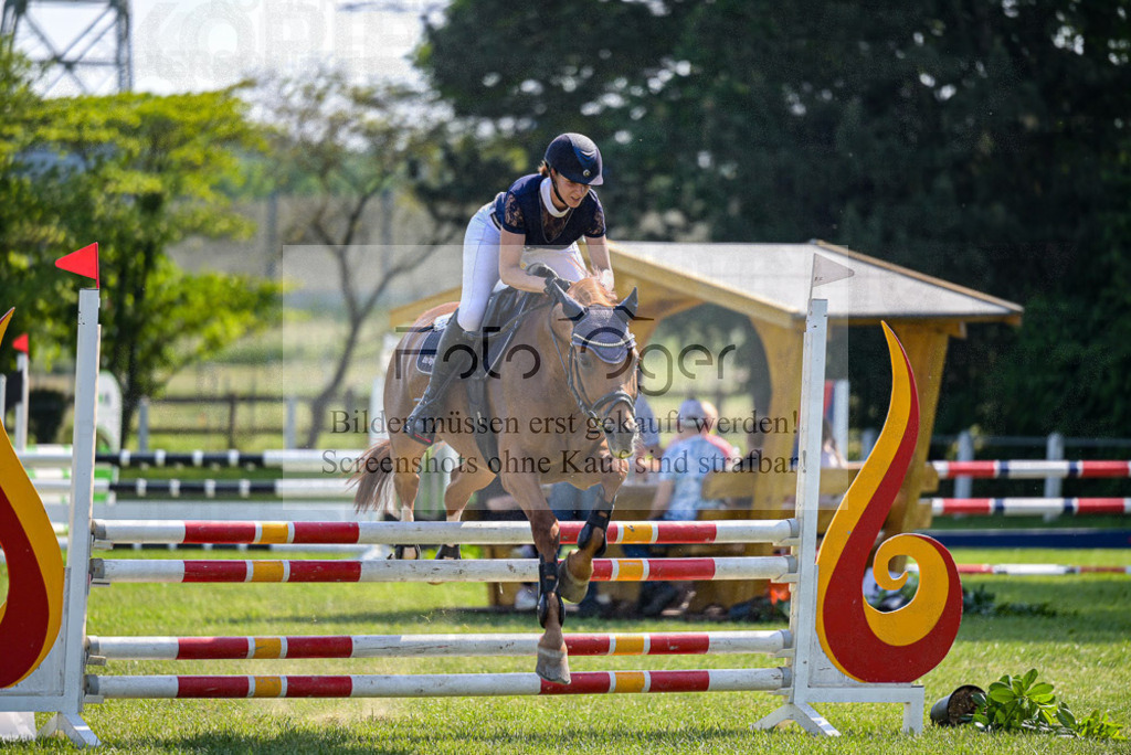 Reitturnier Voxtrup | Entdecke hochwertige Reitturnierfotos von Foto Oger. Professionell, emotional und authentisch – jetzt Lieblingsmomente im Shop bestellen. - Realisiert mit Pictrs.com