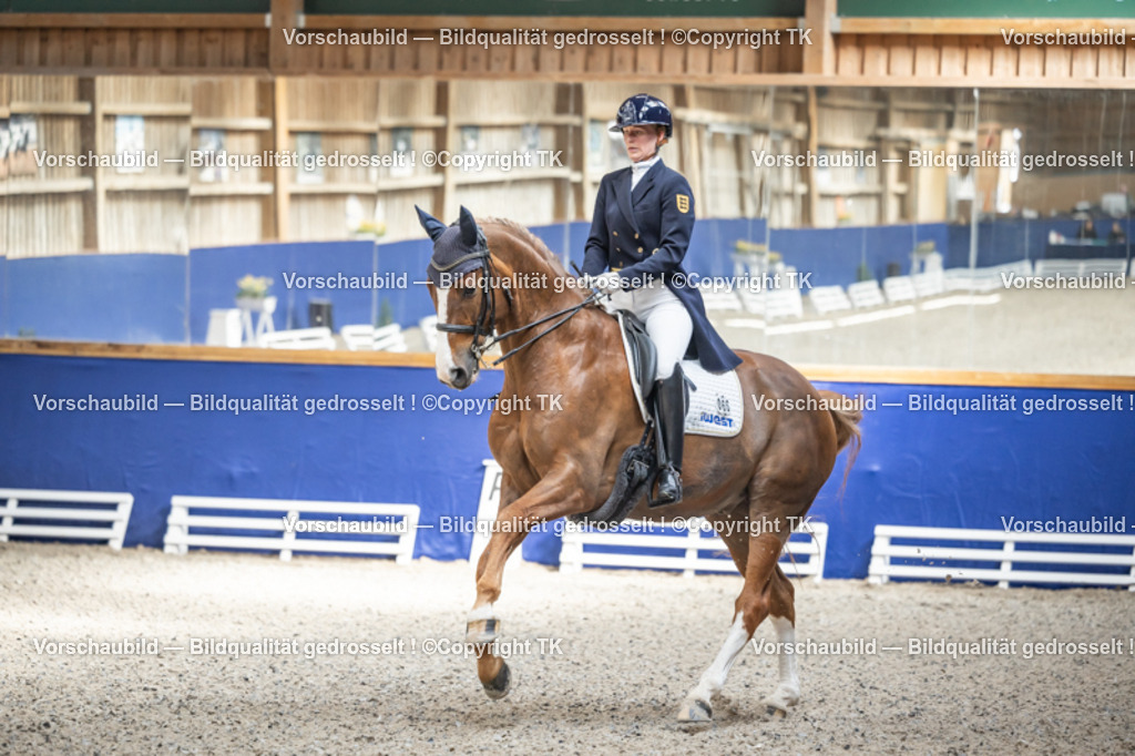 _D5A9060 | Emotionale Pferde- & People-Fotografie rund um Heidelberg, Leimen & Umgebung. Natürliche Fotos von Pferd, Mensch & Familie. Jetzt Termin sichern!