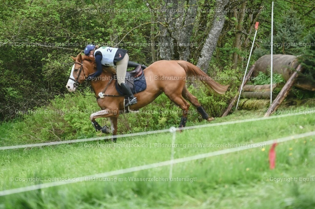 20230513_CCI2_Section2_Gelände_0061 | equistock