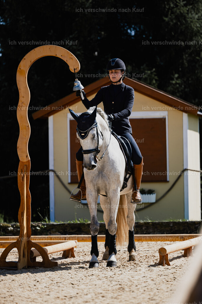Svea13FHC2025-27380 | working equitationturnier fotograf videograf stoibphotography marixx film working equitation deutschland reitsport turnierfotografie eventfotografie equestrian events