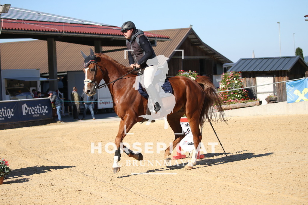DL2Q3320 | Willkommen bei Brunnmayr - Design & Fotografie – Ihrem Spezialisten für Reitturniere und Pferdeveranstaltungen in Oberösterreich, Salzburg und Bayern! Seit über 17 Jahren sind wir leidenschaftlich dabei.