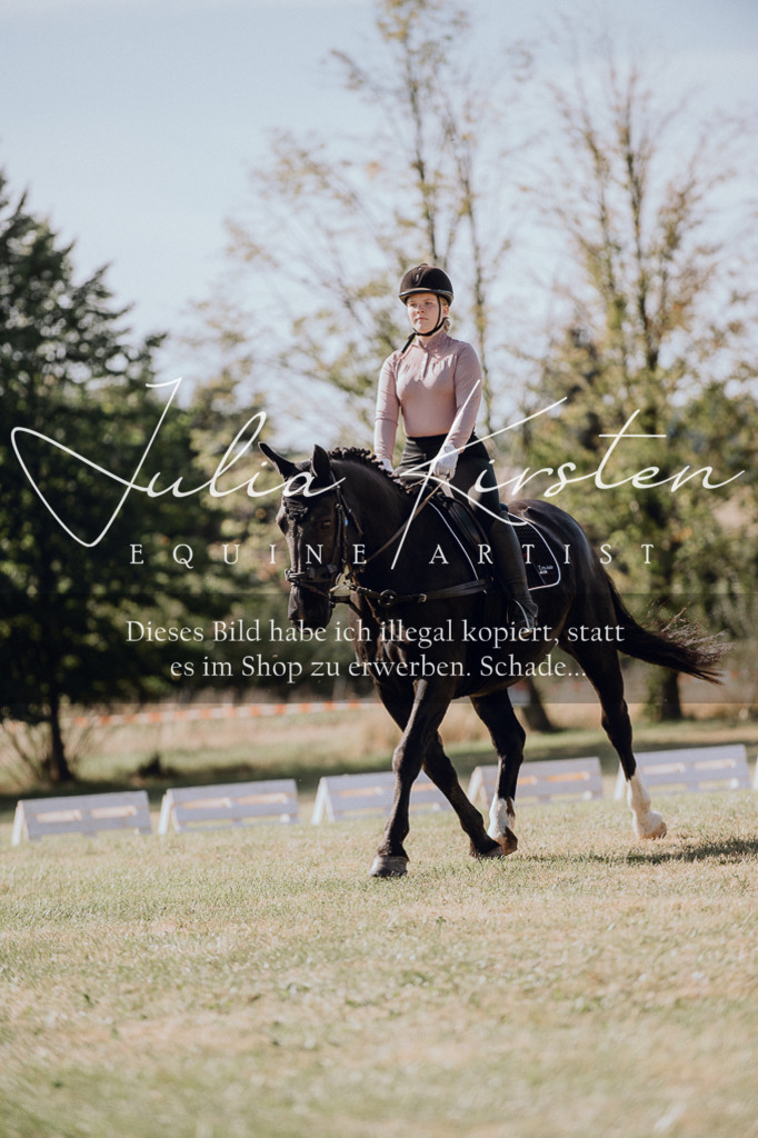 DSC_7044 | Pferde- und Turnierfotografie in Westsachsen. Pferdeportraits, Auftragszeichnungen und intuitive Kunst.