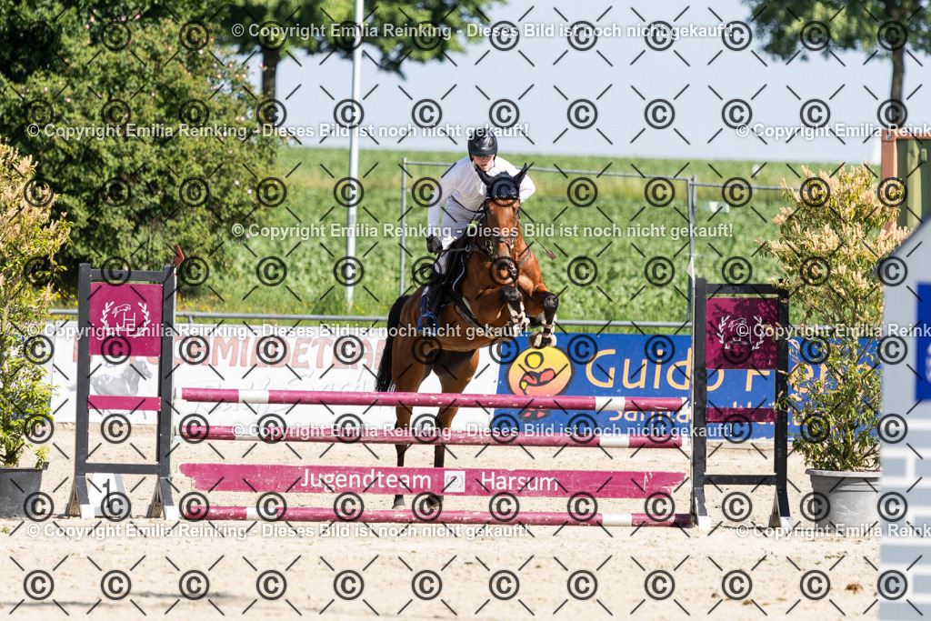 CL5A0227 | Emilia Reinking Fotografie - Realisiert mit Pictrs.com