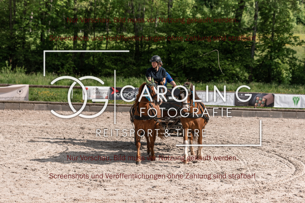 DSC_2608 | Turnierfotografin Carolin Gieschke, Turnierfotografie Carolin G Fotografie, Turnierfotos Kirchheim/Teck, Esslingen, Stuttgart, Bodenseekreis