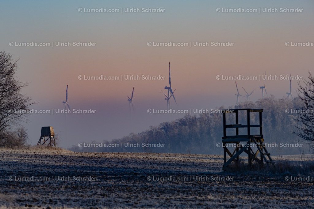 10049-12714 - Morgenstimmung | Stockfoto und Bilderpool mit Bildmaterial aus Deutschland, dem Harz, Halberstadt, Quedlinburg, Wernigerode und weltweit. Qualitativ hochwertige und professionelle Fotos anschauen und kaufen. - Realisiert mit Pictrs.com