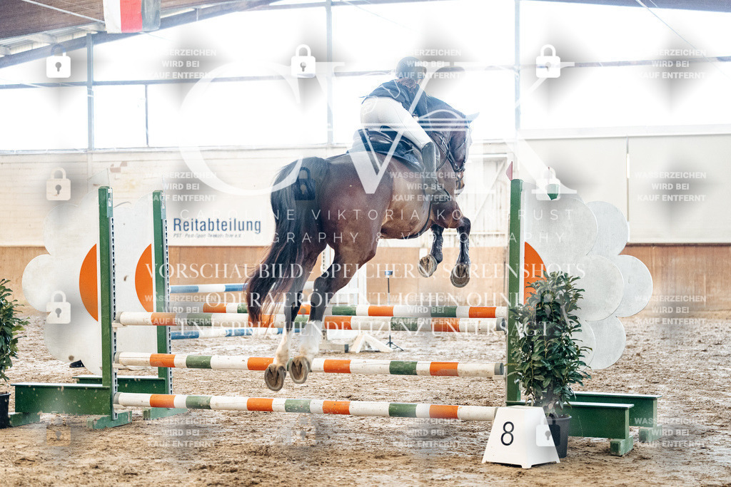CK904452 | Turnierfotografie Pferdefotografie Trier Rheinland-Pfalz Pferdesport Reitsport Tierfotografie Sportfotografie Pferdevideo Pferdevideografie Equestrianvideography equestrianphotography  - Realisiert mit Pictrs.com