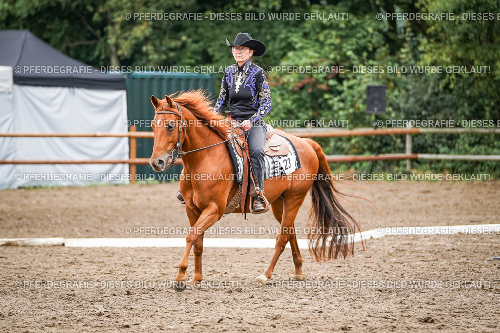 DSC03701 | Pferdegrafie