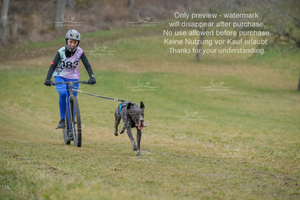 Sa_Scooter1-94 | stephaniefillaphotographie - Realisiert mit Pictrs.com