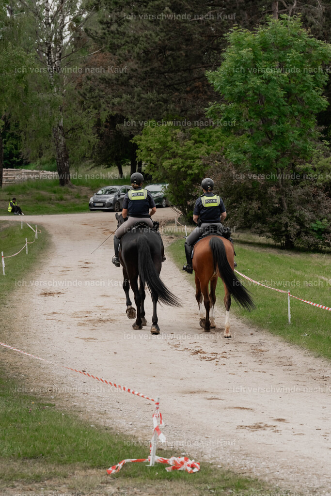 Showprogramm-320 | working equitationturnier fotograf videograf stoibphotography marixx film working equitation deutschland reitsport turnierfotografie eventfotografie equestrian events