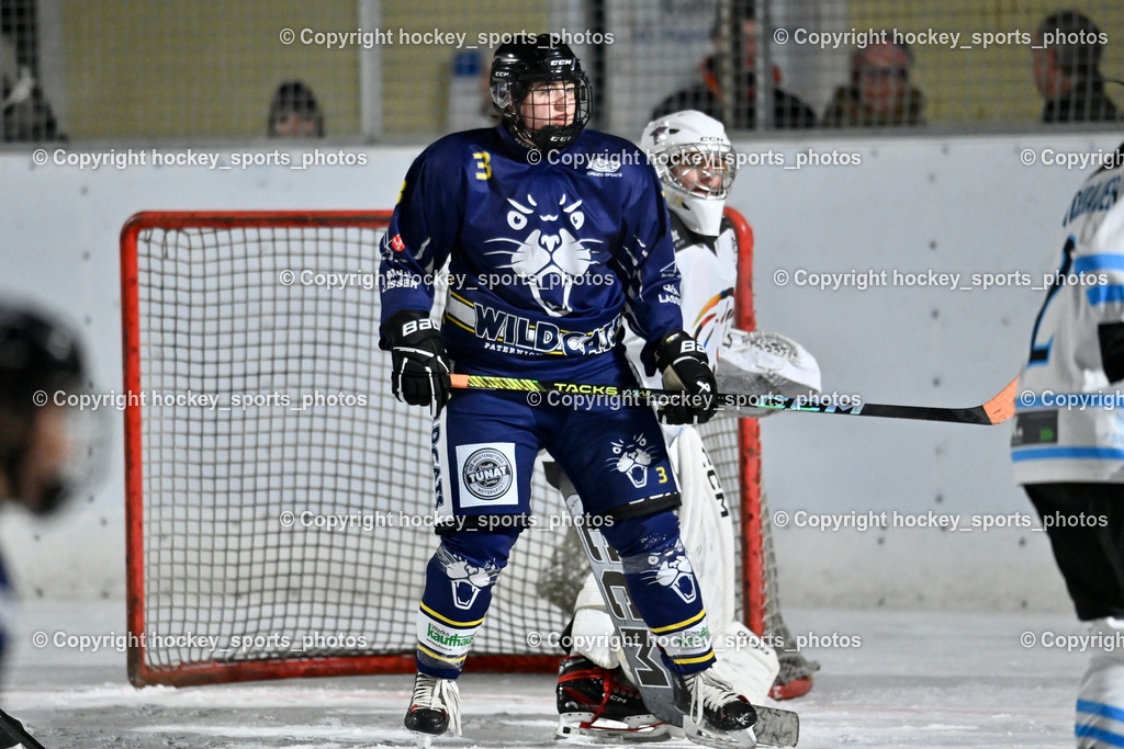Wildcats Paternion vs. Unicorns Steindorf | #3 Sauerbier Dana Kiara WILDCATS PATERNION, #35 Winkler Therese UNICORNS STEINDORF, Wildcats Paternion vs. Unicorns Steindorf, Wildcats Paternion vs. Unicorns Steindorf am 02.01.2026 in Paternion (Eislaufplatz Paternion), Austria, (Photo by Bernd Stefan)