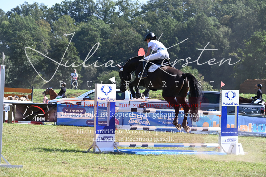 DSC_6388 | Pferde- und Turnierfotografie in Westsachsen. Pferdeportraits, Auftragszeichnungen und intuitive Kunst.