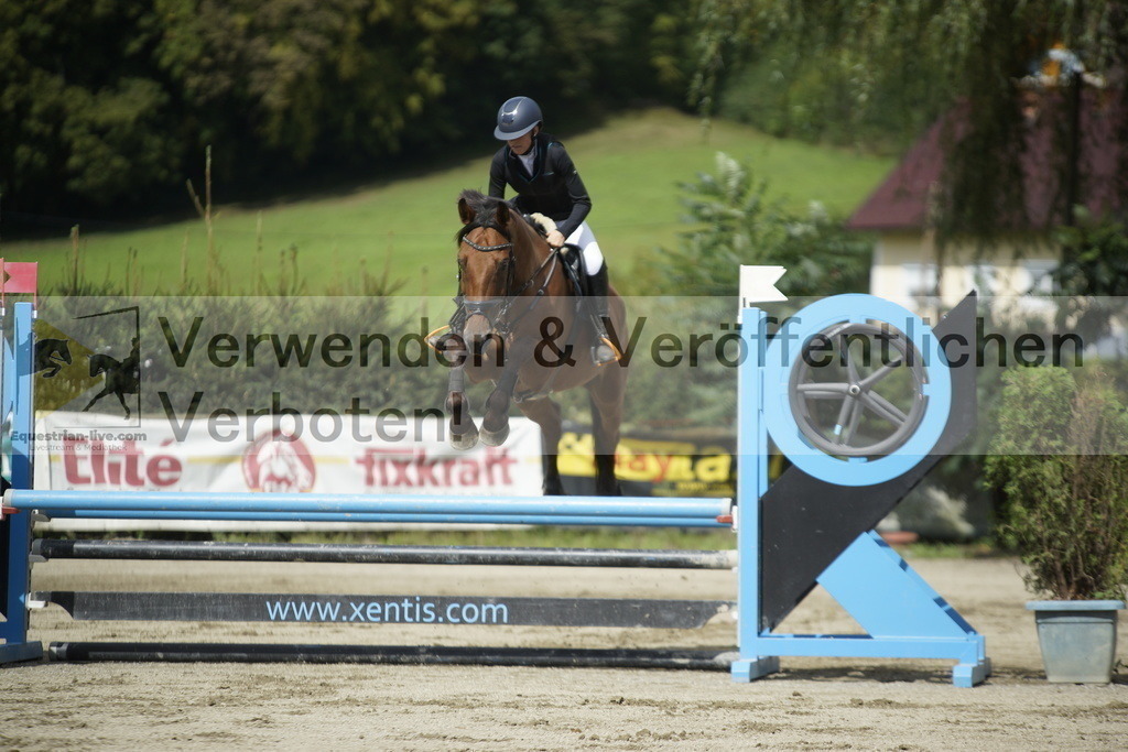 _DSC4342 | equestrian-live-com