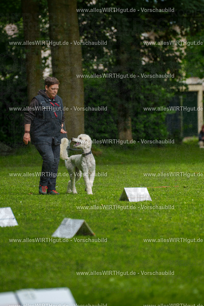 @allesWIRTHgut_Tierfotografie - www.allesWIRTHgut.de - 7R503544 | Professionelle Tierfotografie in Mönchengladbach von Daniel Wirth (allesWIRTHgut). Liebevolle & natürliche Bilder von Hunden & Katzen für unvergessliche Erinnerungen.