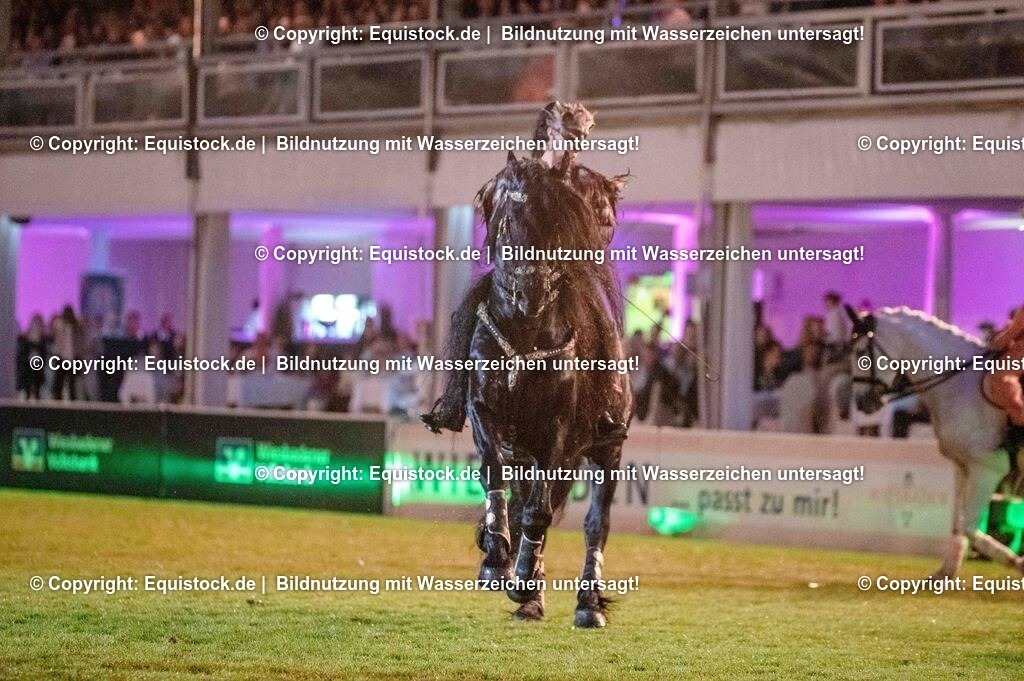 20250606_Lange-Pferdenacht_1307 | Foto: Thomas Hartig