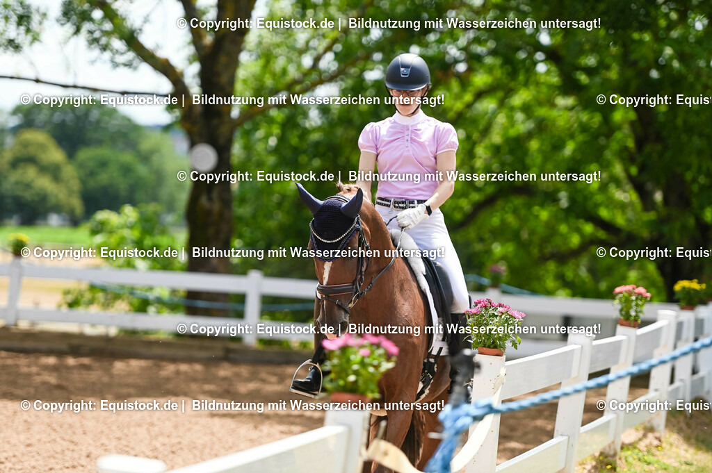 20230716_03_Dressurprfg. Kl.L - Tr._0224 | equistock