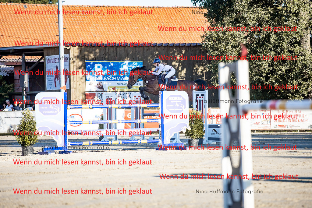 BK1A8405 | Turnierbilder Turnierfotos Nina Hüffmann Turnierfotografie Pferdefotografie Tierzeichnung Haustierzeichnung Pferdezeichnung Hundezeichnung Videograf  - Realisiert mit Pictrs.com