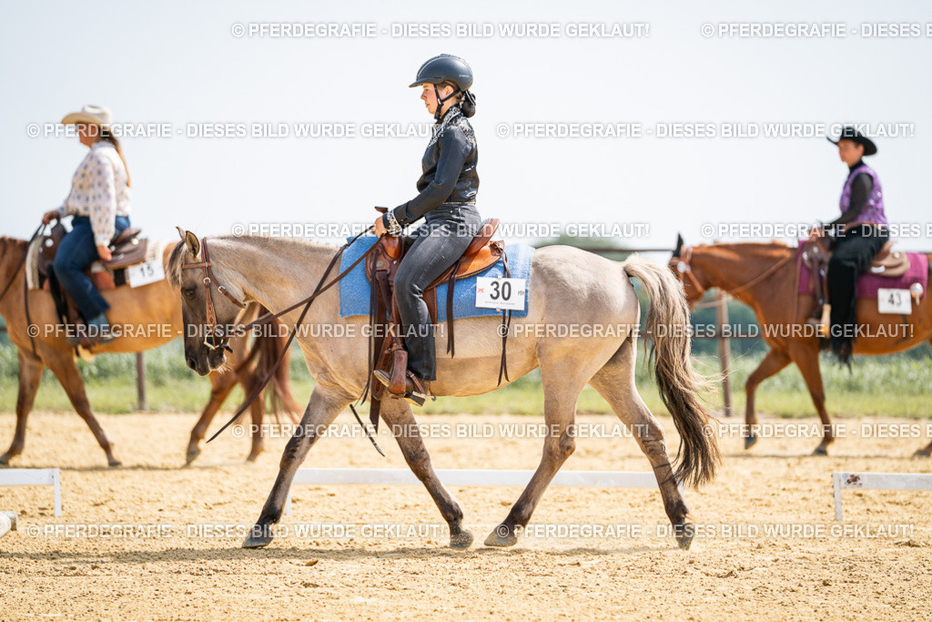 DSC09916 | Pferdegrafie