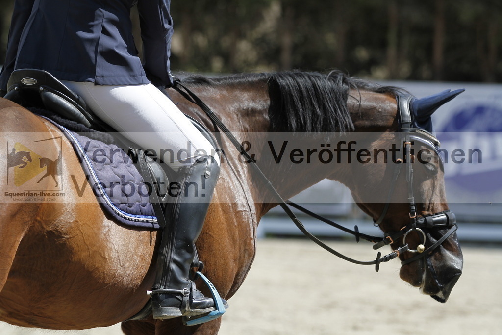 _MG_7368 | equestrian-live-com