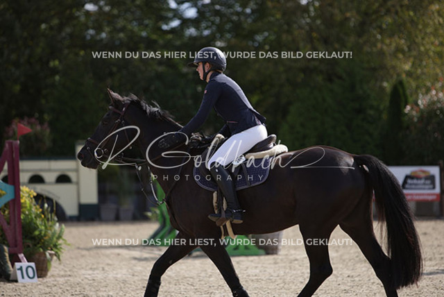 1J2A3488Freya Sophie Langhans_ Comme Toi_ Kn260_ Havekost | Foto- und Videografie für alles rund ums Pferd. Hochwertige Bilder und Videos vom Spring- und Dressurreiten, Voltigieren & mehr. Jetzt aktuelle Veranstaltungen und Preise im Shop ansehen. - Realisiert mit Pictrs.com