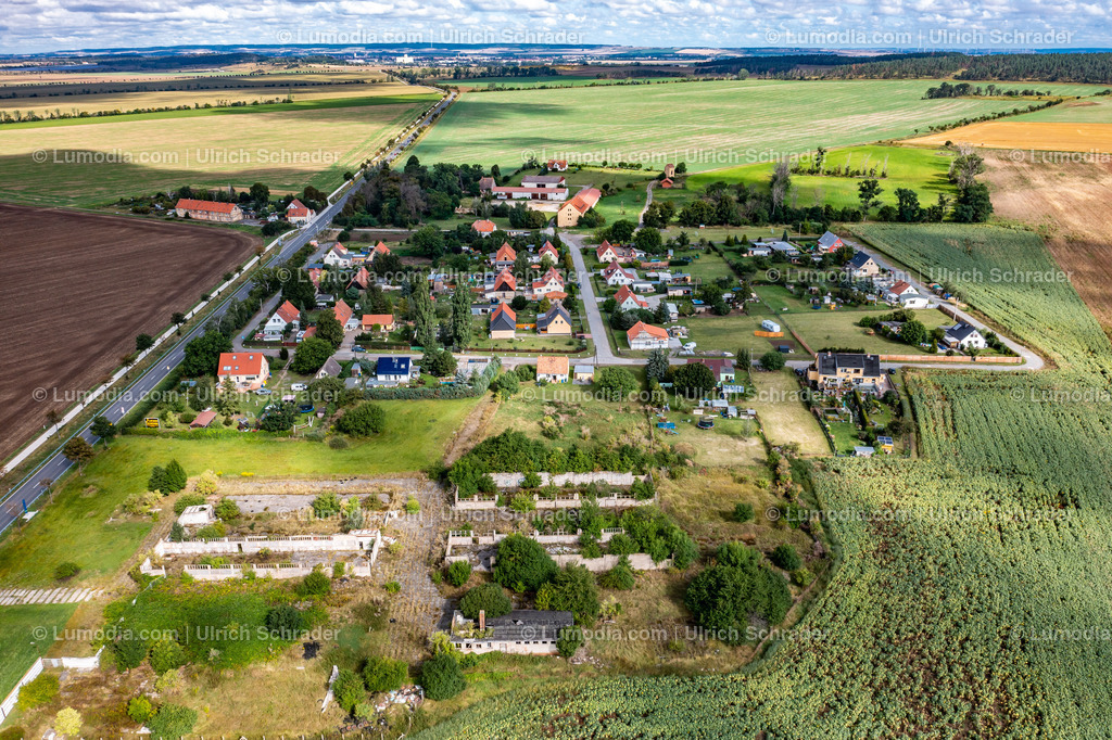 10049-51407 - Im Harzvorland bei Quedlinburg | Stockfoto und Bilderpool mit Bildmaterial aus Deutschland, dem Harz, Halberstadt, Quedlinburg, Wernigerode und weltweit. Qualitativ hochwertige und professionelle Fotos anschauen und kaufen. - Realisiert mit Pictrs.com