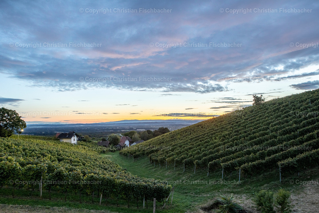 Fotos_Copyright_Chri_Fischbacher_Druck-419 | Bildershop Chri Fischbacher - Realisiert mit Pictrs.com