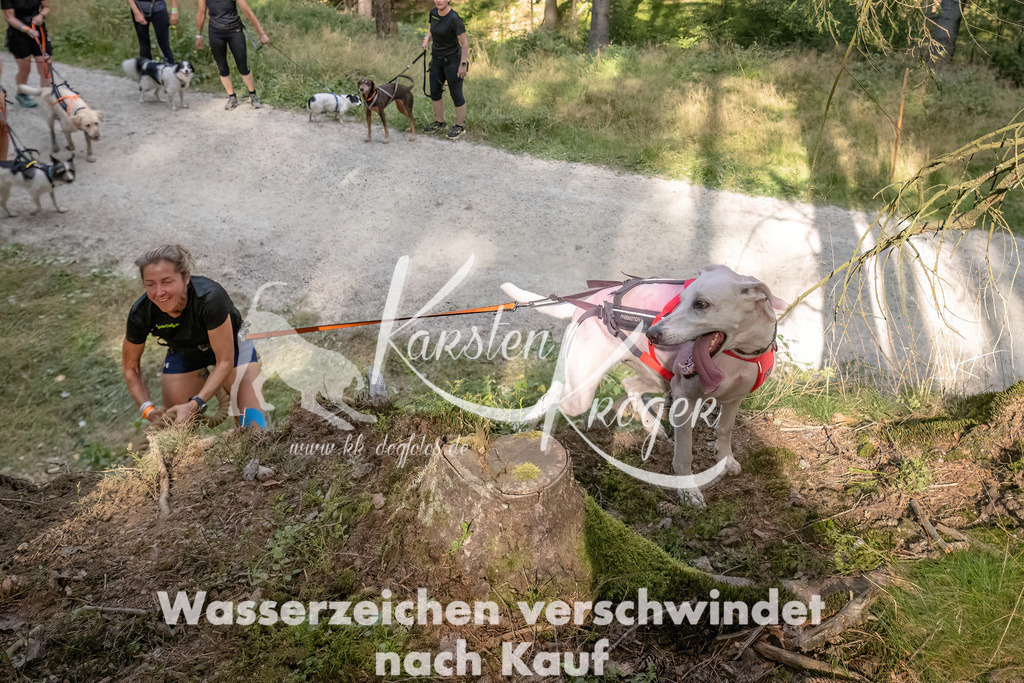 1047_ZZ92354 | kk-dogfotos