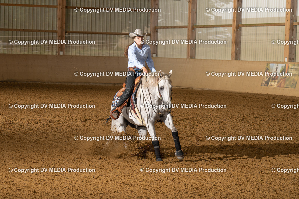 LAU00954 | dv-media-shop - Realisiert mit Pictrs.com