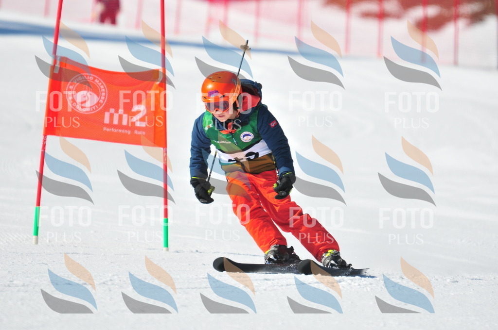 C2824 | holidayphoto