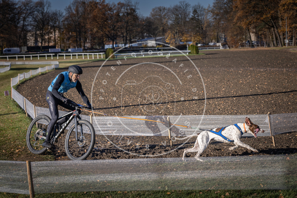 CaniXpix_DV3A3518 | Hundefotografie, Tierfotograf, Pfotenfotografie, Fotoshooting Hund, Hunde Portrait, Hundesport, Hundeportraits, Heideshooting, Hunde, Sportfotograf, Hundefotograf, Turnierhundsport, THS,  - Realisiert mit Pictrs.com