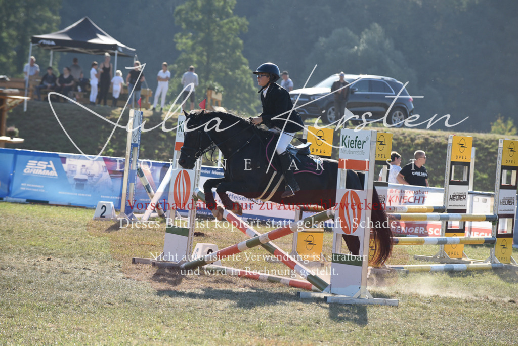 DSC_5758 | Pferde- und Turnierfotografie in Westsachsen. Pferdeportraits, Auftragszeichnungen und intuitive Kunst.