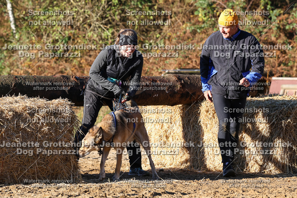 Dog Paparazzi - Strongdog 10-25-1332 | Dog Paparazzi Jeanette Grottendiek Fotografie & Videografie - Realisiert mit Pictrs.com