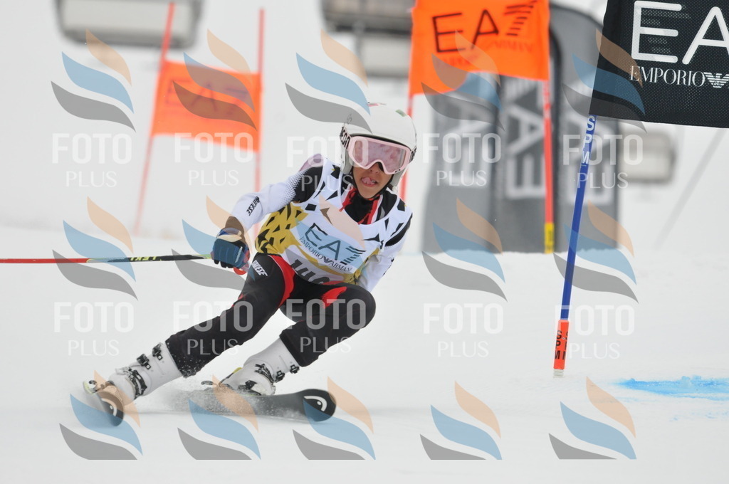 DSC_8361 | holidayphoto