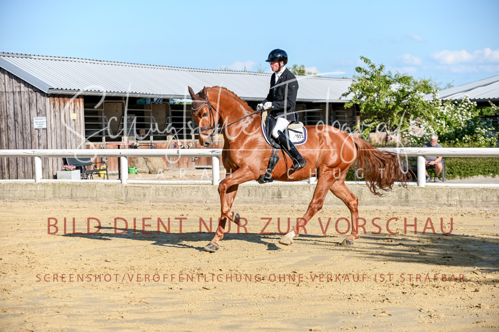 Schugtsche-Aluta25-51.Dressurpferdeprf.M-77 | Schugtsche Fotografie - Realisiert mit Pictrs.com