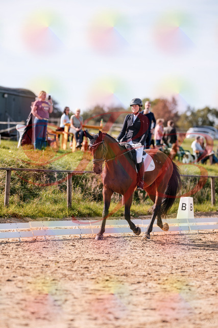 2026_10_03_Siefer-Hof_130158_Z81_54327573 | Professionelle Reitsport-, Turnier- und Eventfotografie von Robert Broda. Galerien mit ausgewählten und bearbeiteten Bildern direkt online ansehen und bestellen.