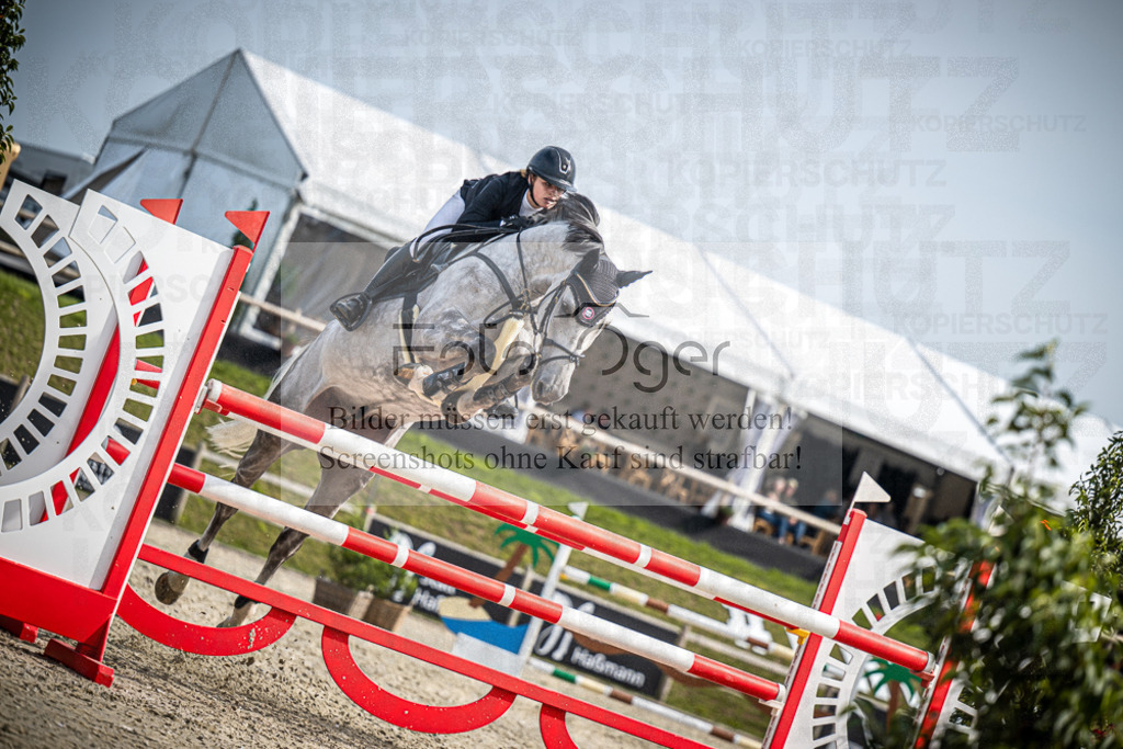 DOS_1609 | Entdecke hochwertige Reitturnierfotos von Foto Oger. Professionell, emotional und authentisch – jetzt Lieblingsmomente im Shop bestellen.Deutschlandweite Turnierfotografie. - Realisiert mit Pictrs.com