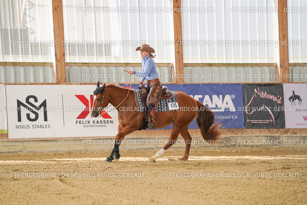 DSC02585 | Pferdegrafie