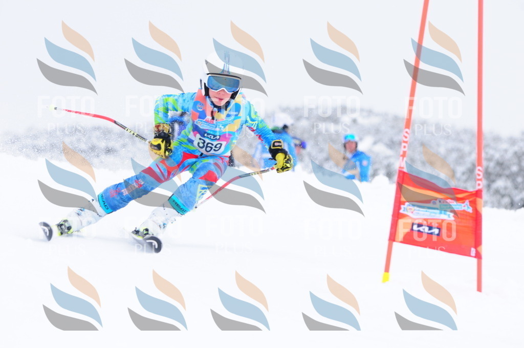 C3948 | holidayphoto