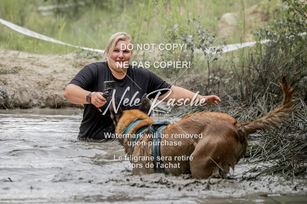 nelerasche_so1515-1530_197 | nelerasche