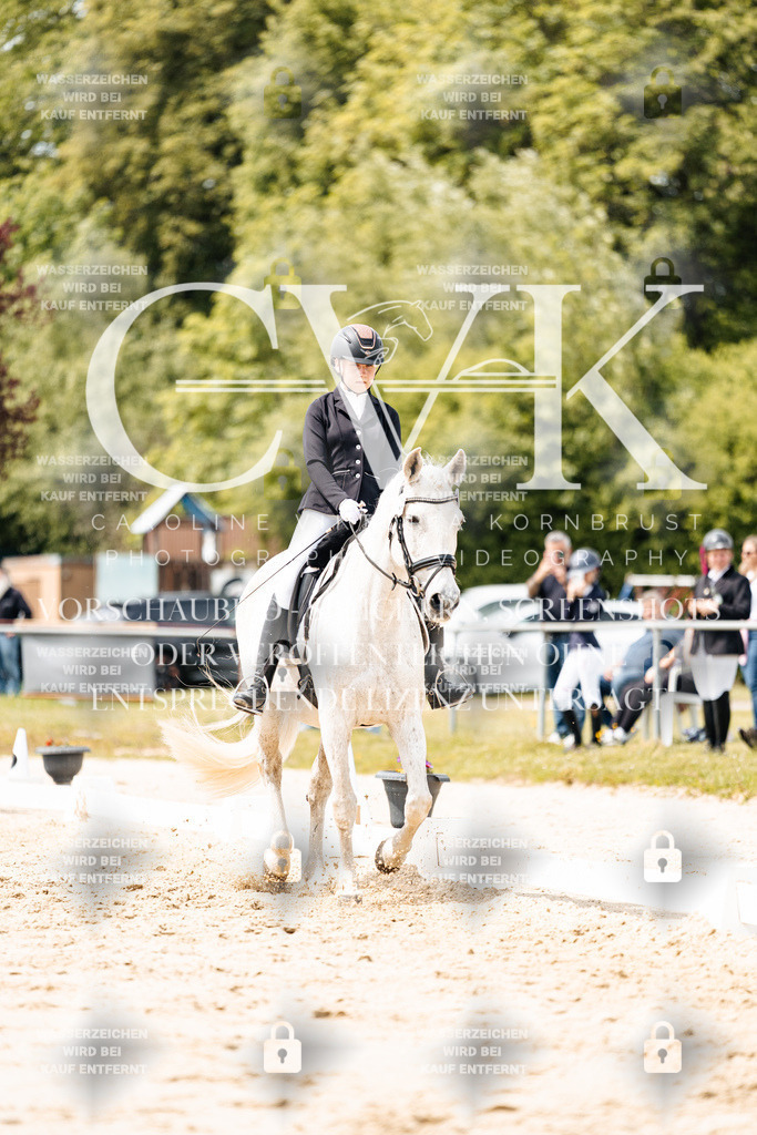 CK902446 | Turnierfotografie Pferdefotografie Trier Rheinland-Pfalz Pferdesport Reitsport Tierfotografie Sportfotografie Pferdevideo Pferdevideografie Equestrianvideography equestrianphotography  - Realisiert mit Pictrs.com