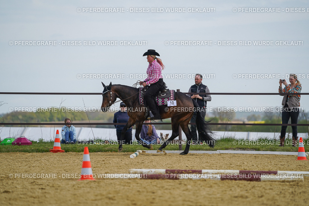 DSC05201 | Pferdegrafie