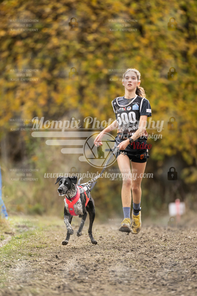 MompixPhotography_ICF_WC_2024_SA_Run_-516 | PayLife