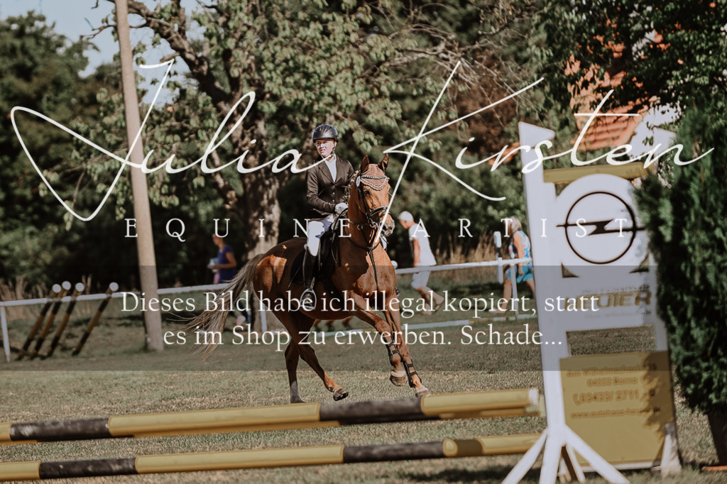 DSC_9315 | Pferde- und Turnierfotografie in Westsachsen. Pferdeportraits, Auftragszeichnungen und intuitive Kunst.